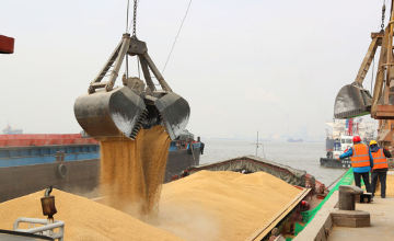 穀物運搬船